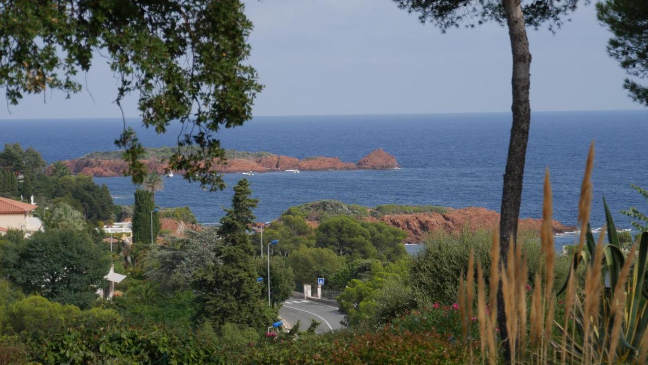 Bastidon Vue Mer Antheor-Cap-Roux エクステリア 写真
